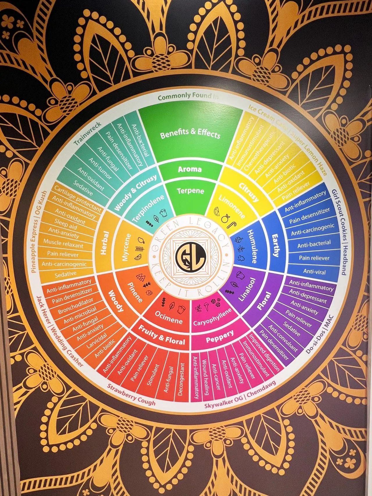 The terpene education wheel inside Green Legacy