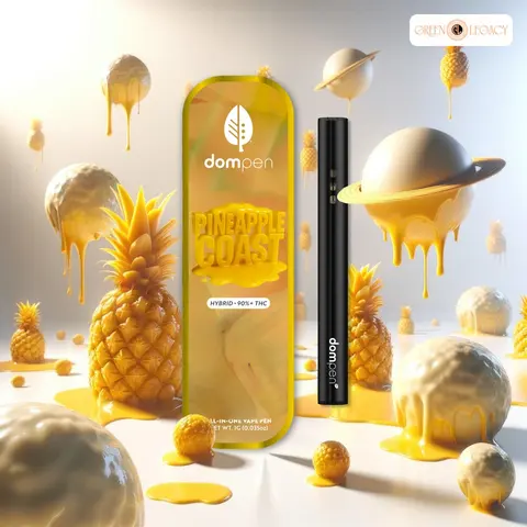 Disposable Vape: Pineapple Coast 1G (vape)