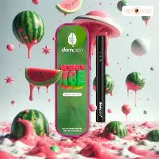 Disposable Vape: Watermelon Ice 1G (vape)