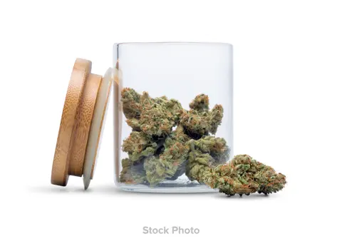 Flower: OG Kush | 3.5G (flower)