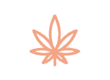 Flower — DC cannabis deals