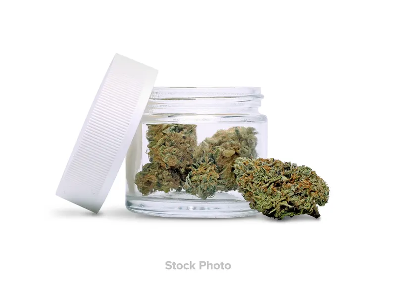 Auto Bahn strain from King Weedy at Green Legacy