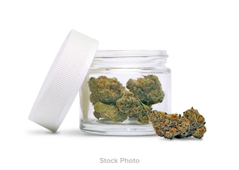 Chocobow strain from Choof at Green Legacy