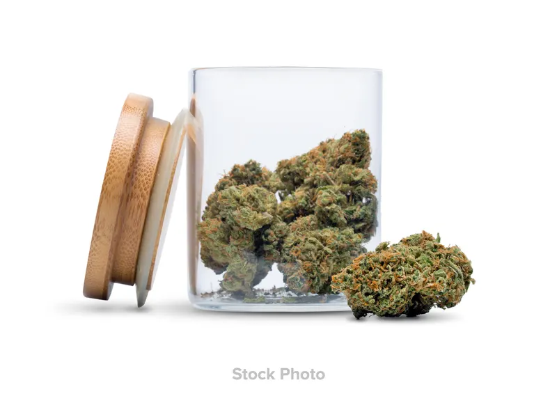 Gelato 41 strain from CornerStore Cultivation at Green Legacy