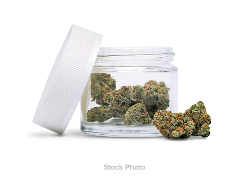 The Beast strain from King Weedy at Green Legacy