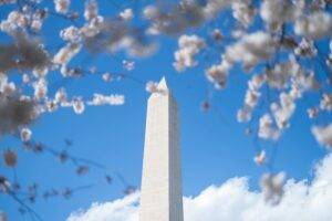 cannabis dispensary DC cherry blossom season Washington Monument spring 2026 Green Legacy