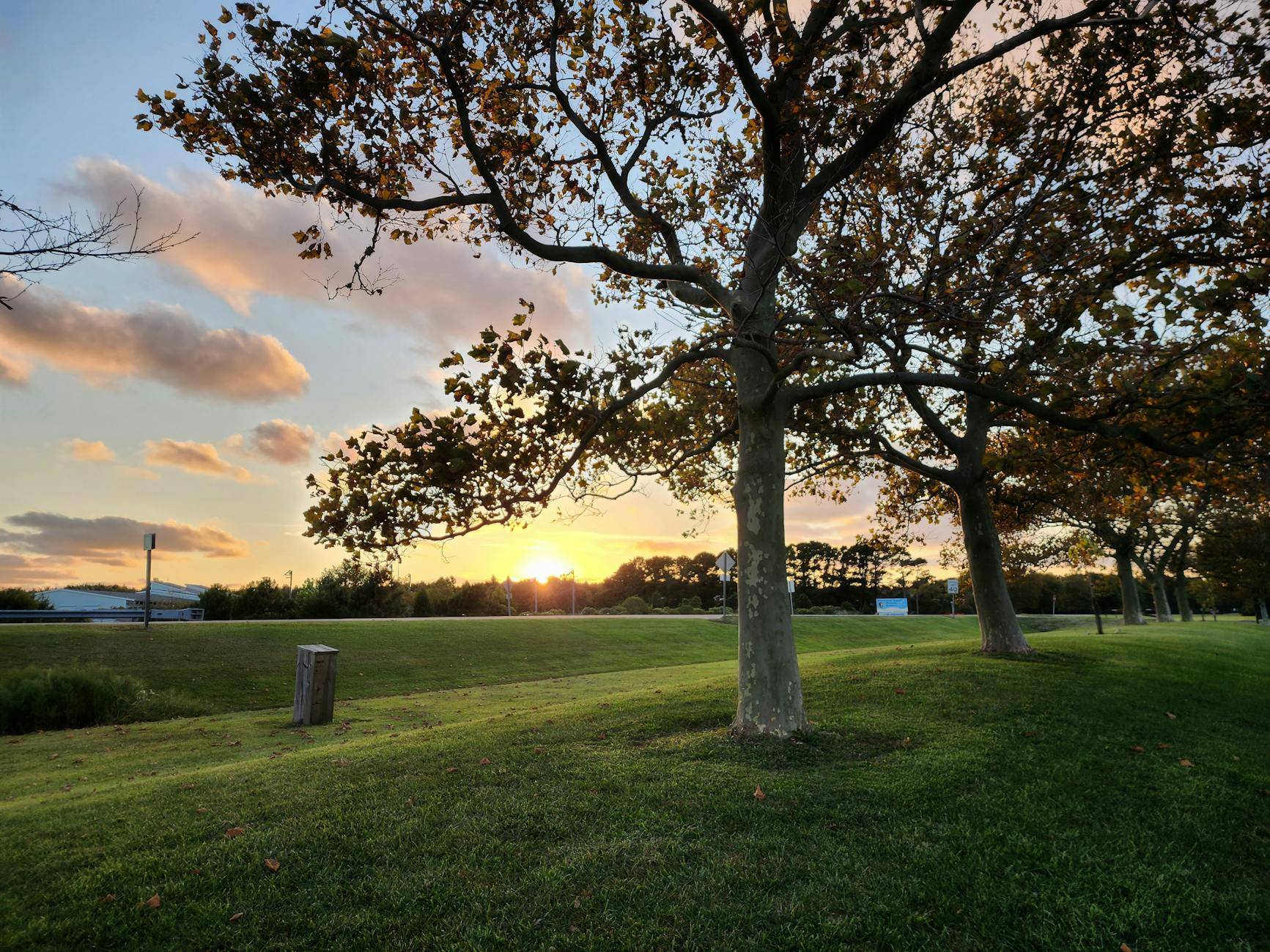 dispensary near Bowie Maryland - Green Legacy medical cannabis dispensary serving Bowie