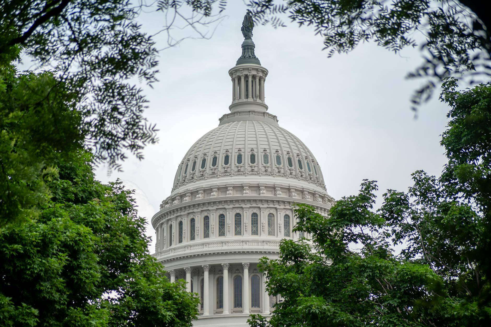 cannabis dispensary near Capitol Hill - Green Legacy medical cannabis dispensary serving Capitol Hill