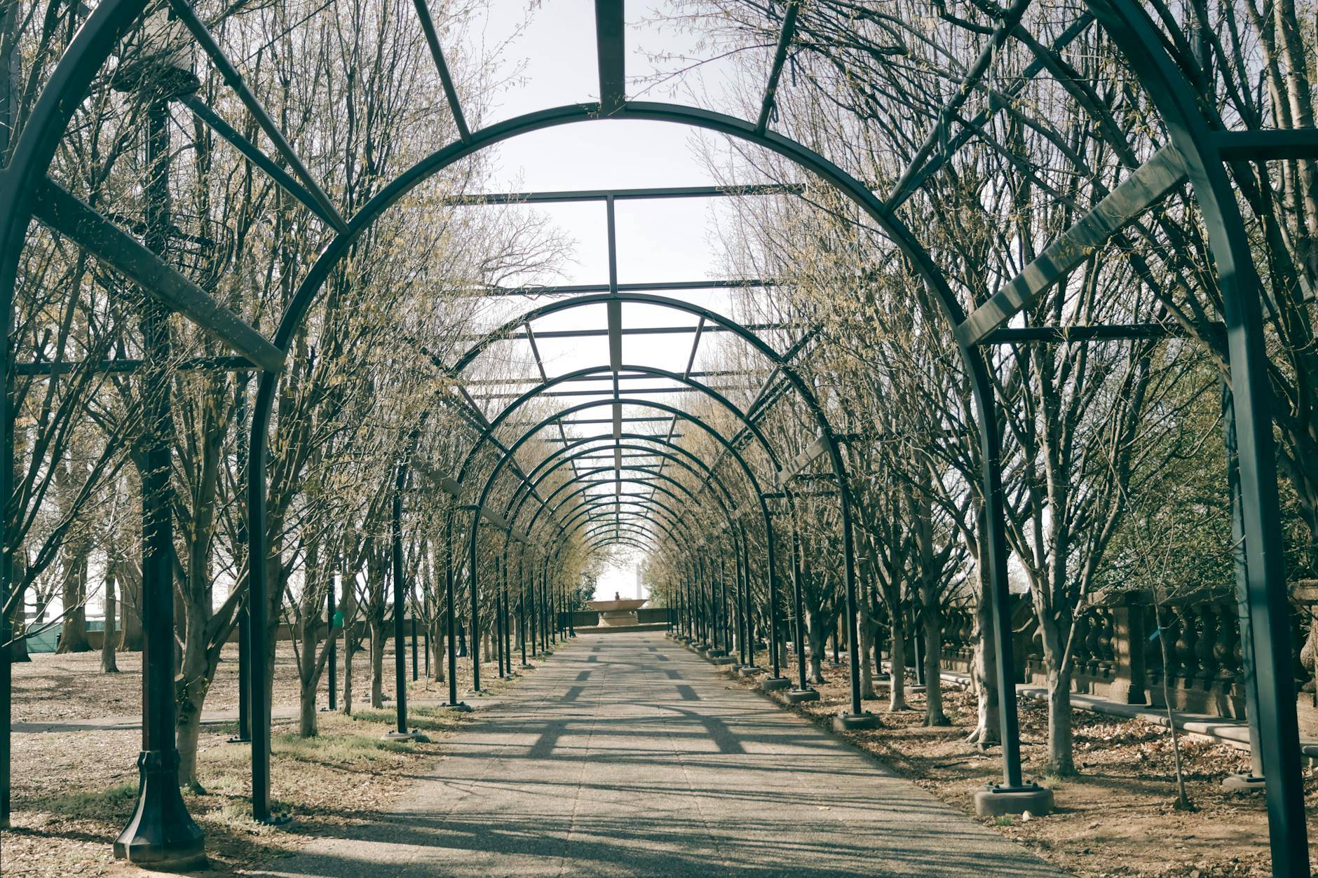 cannabis dispensary near Fort Totten - Green Legacy medical cannabis dispensary serving Fort Totten